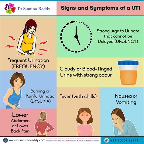 uti vs early pregnancy.